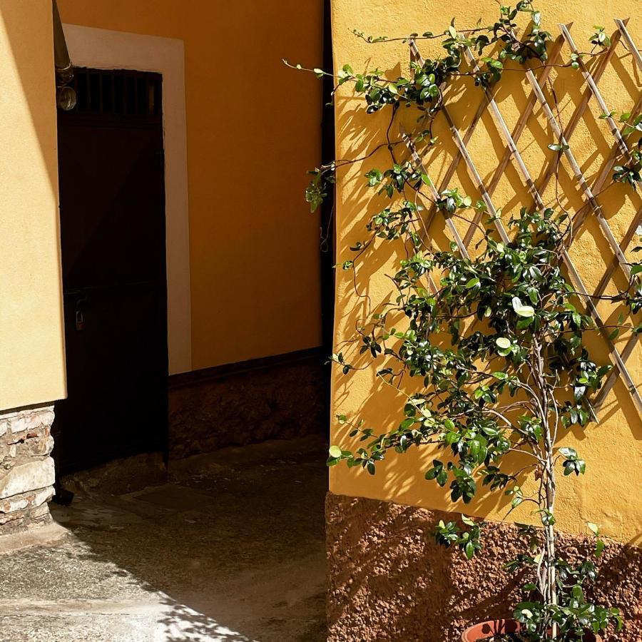 B&B Mela Rogiano Gravina Exterior foto