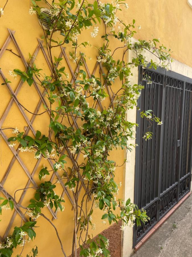 B&B Mela Rogiano Gravina Exterior foto